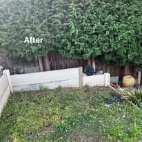 Cleared garden corner