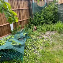 Garden before new fence