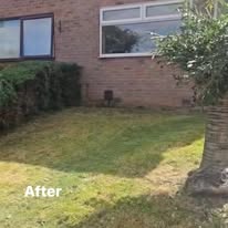 Lawn after tidy